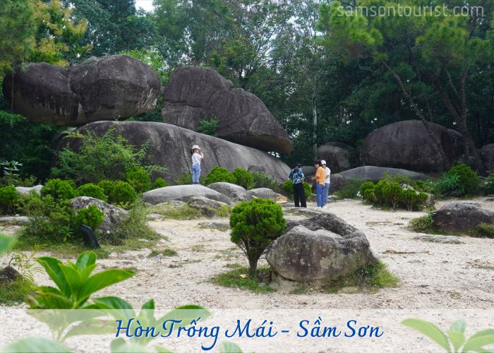 Hòn Trống Mái - địa điểm nổi tiếng khi tới Sầm Sơn