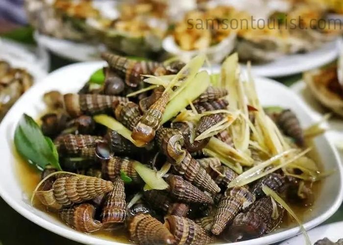 Ốc hút có hương vị tươi ngon, là biểu tượng tinh tế của ẩm thực Sầm Sơn